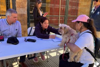 WhatsApp Image 2025-11-19 at 11.22.04 (1) (1).jpeg